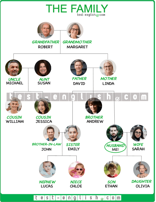 Family tree infographic with titles like grandfather, uncle, and niece for A1 English learners.