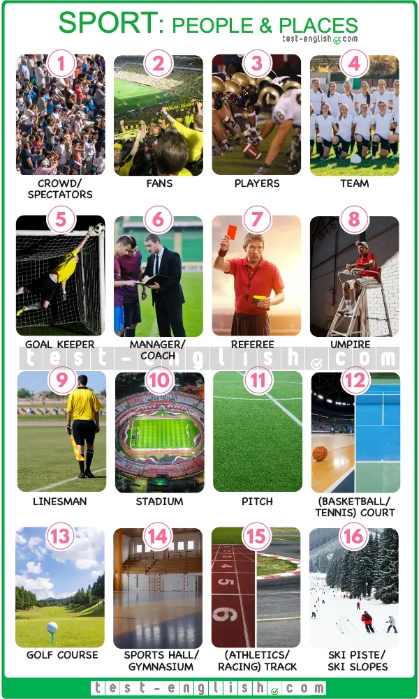 Educational chart of sports vocabulary with images for B1 English lesson.
